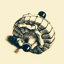 trilobitelunch avatar