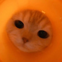 tripleairsign avatar