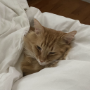 triplefortune avatar