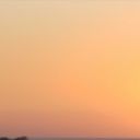 tripleh-triplee avatar