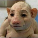 triplenine-blog avatar