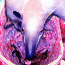 tripleshotgun avatar