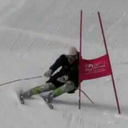 tripping-down-ski-hills avatar