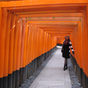 trippingandtraveling avatar