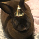 trippingbunnies avatar