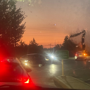 trippyizworld avatar