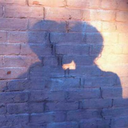 tripsina-blog avatar