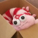 tripsonflatground avatar