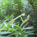 tripsphotographs avatar