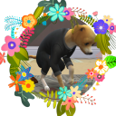 tripstaysnoided avatar