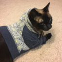 trisarahtops19 avatar