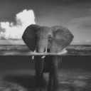 tristepensamiento avatar