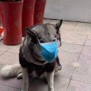 tristes-sonrisas avatar