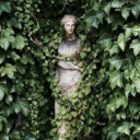 trivial-pursuits avatar