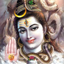 trohandtheman avatar