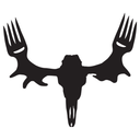 trophycountry avatar