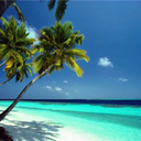 tropical-jungles-blog avatar