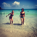 tropicalaesthetics avatar