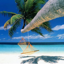 tropicaldestinations avatar