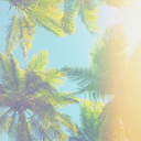 tropicalducks-blog avatar