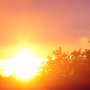 tropicalsandstorm avatar