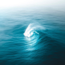 tropicalsurfx avatar