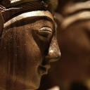 tropicalvisions avatar