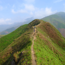 tropicalvn-blog avatar