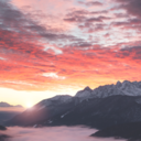 tropicvl-pvrvdise avatar