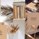 tropicxl-vibess avatar