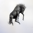 trotlife-blog avatar