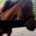 trottingonafairytalee avatar