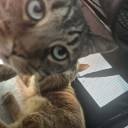 trouble-maker69 avatar