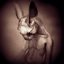 troubledbunny avatar