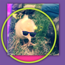 troubledpixel avatar