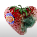 troublewithbeingborn avatar