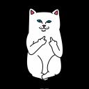 trovadordemedianoche avatar