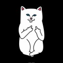 trovadordemedianocheblog avatar