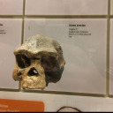 trowelsanddirt avatar