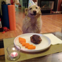 troy-glass-has-no-ass avatar