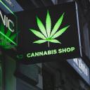 troyleroakley avatar