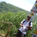 troythompson16 avatar