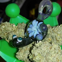 truckstopnasty avatar