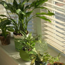 true-downeyators avatar