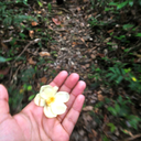 truebluethoughts avatar