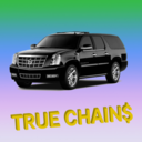 truechains avatar