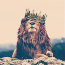 trueconnectionus-blog avatar