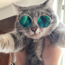 truelovearmstay avatar