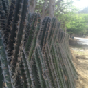 truelovethatlastsforever avatar