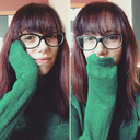 truenorthequestrian avatar